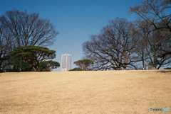 Nature「フィルム新宿御苑」