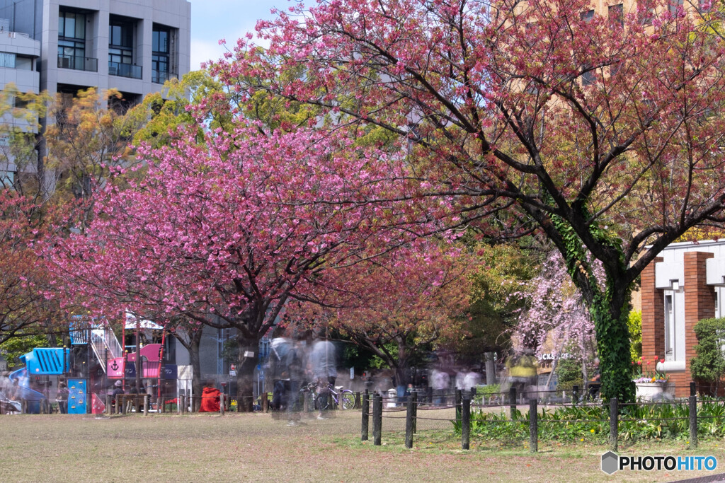 Nature「ここは横浜スタジアム公園」