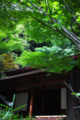 Nature「雨上がる」