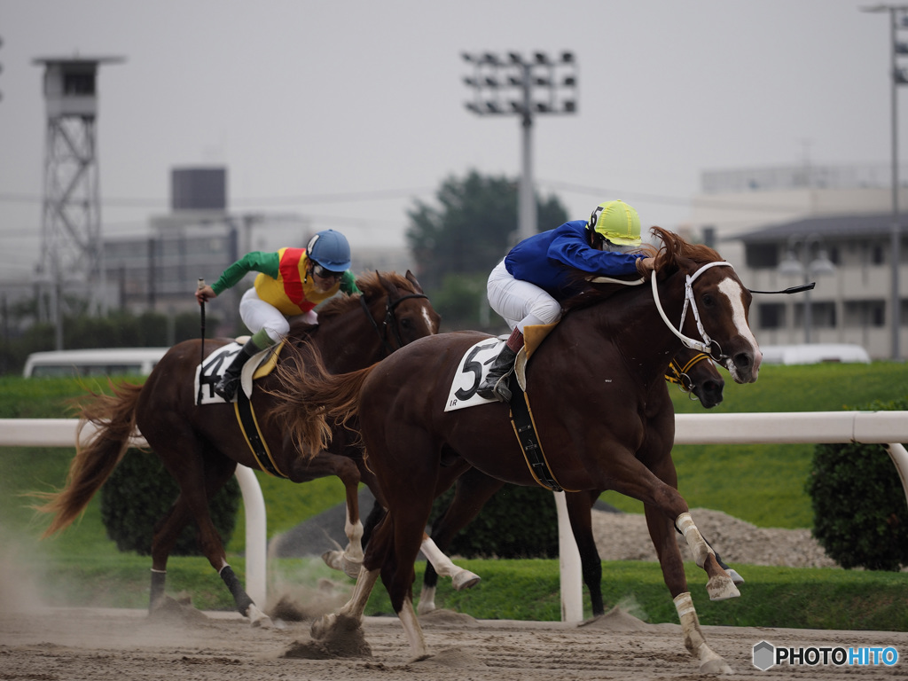 Nature「川崎競馬」