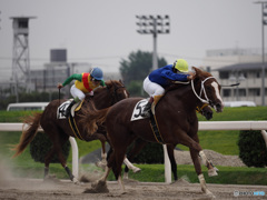 Nature「川崎競馬」