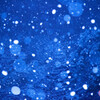 Nature「横浜に雪降る」