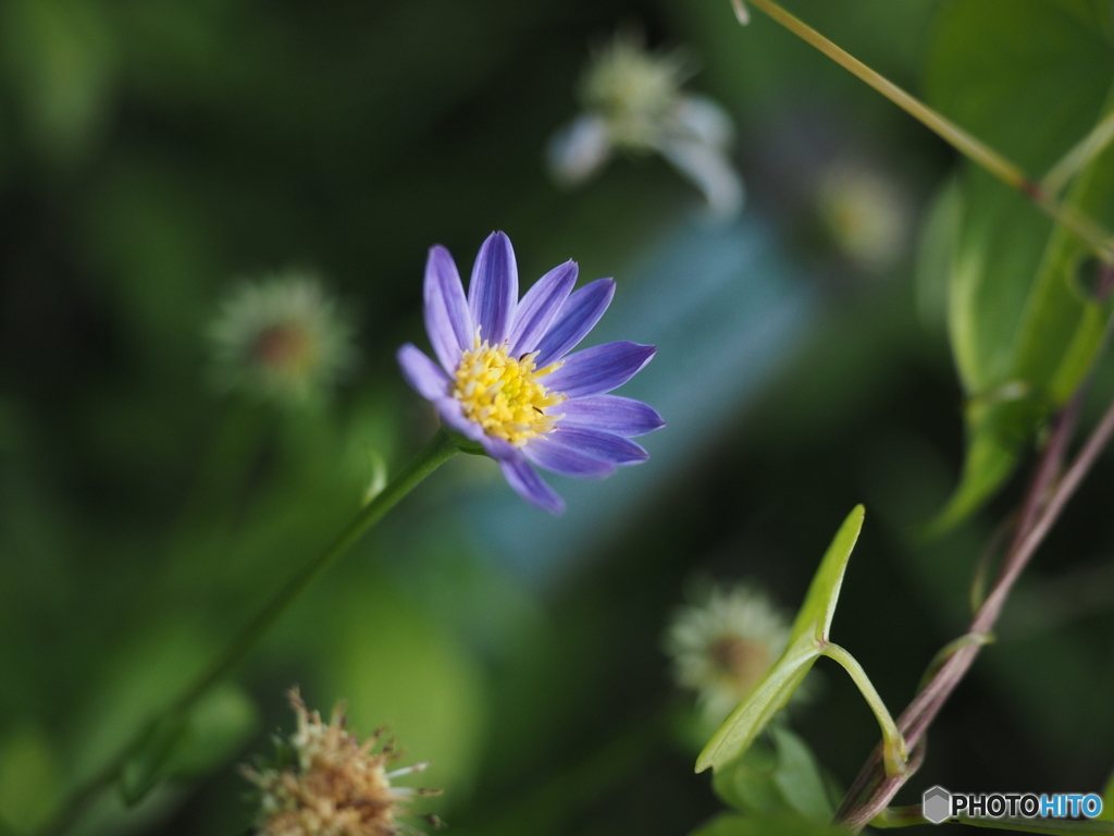 Nature