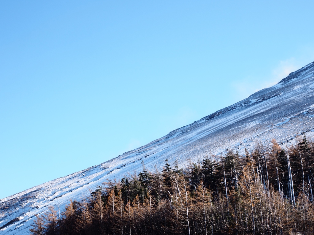 Nature「富士山冠雪」