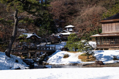 Nature「前回の横浜に雪が降る続き」