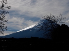 Nature「富士山とわたし」