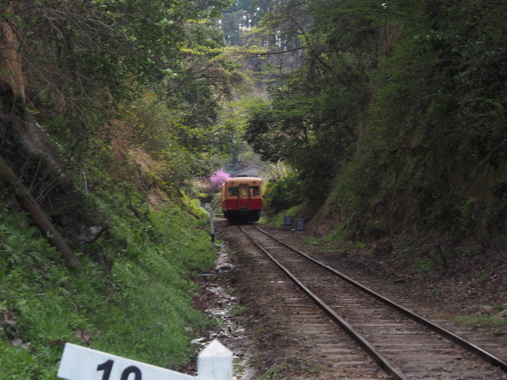 Nature「下り列車」
