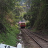 Nature「下り列車」