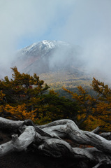 Nature「富士山奥庭」
