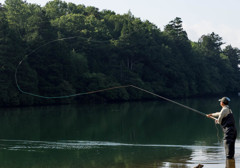 Nature「奥日光」