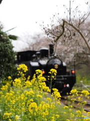 Nture「小湊鉄道月崎駅」
