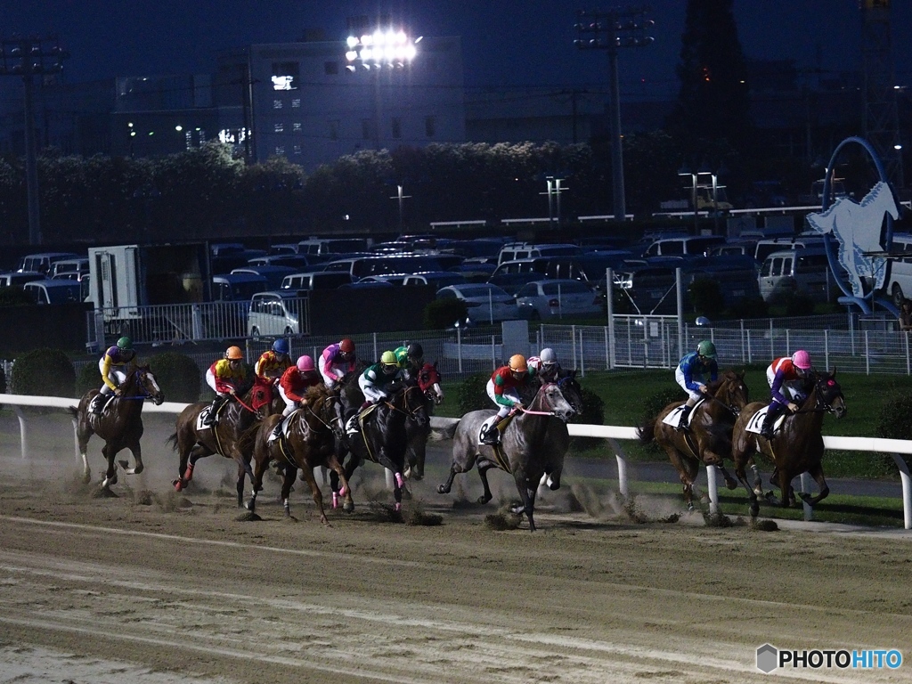 Nature「川崎ナイター競馬」