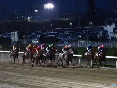 Nature「川崎ナイター競馬」