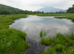 Nature「尾瀬」