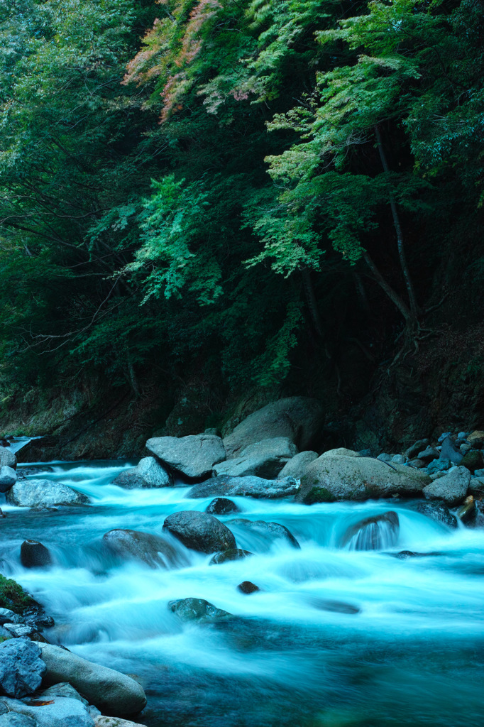 Nature「道志川渓谷」