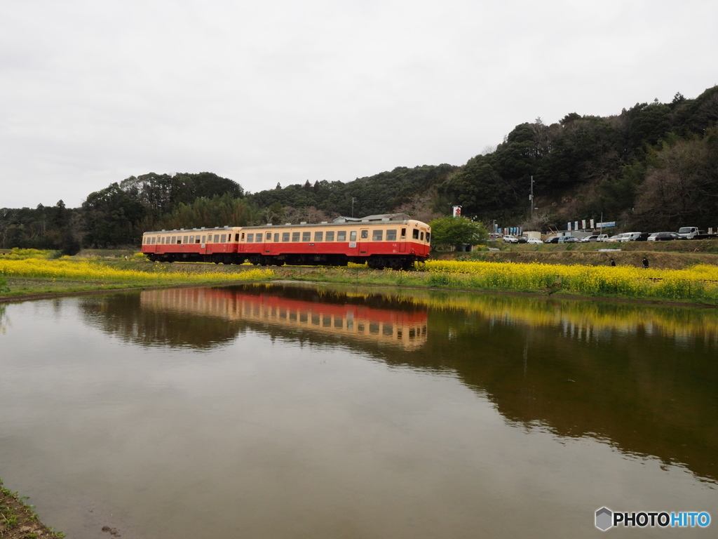 Nature「小湊鉄道」4