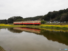 Nature「小湊鉄道」4