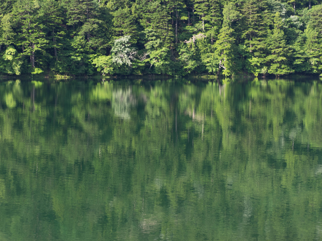 Nature「奥日光」