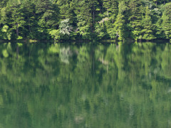 Nature「奥日光」