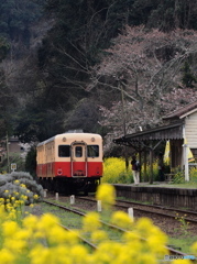 Nature「小湊鉄道」