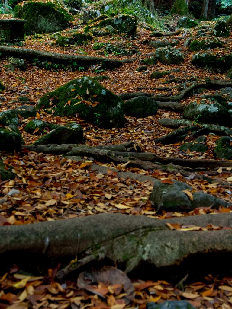 Nature