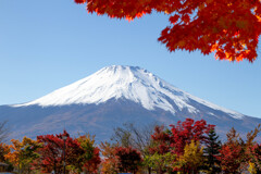 Nature「緊急事態宣言解除：山中湖紅葉祭り始まる」