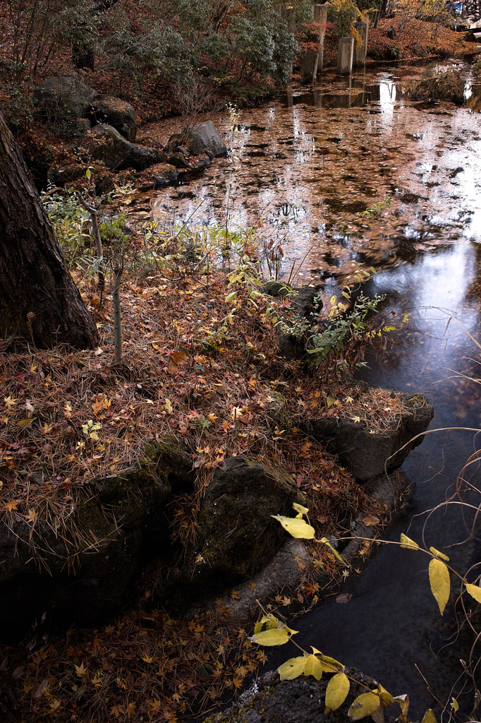 Nature
