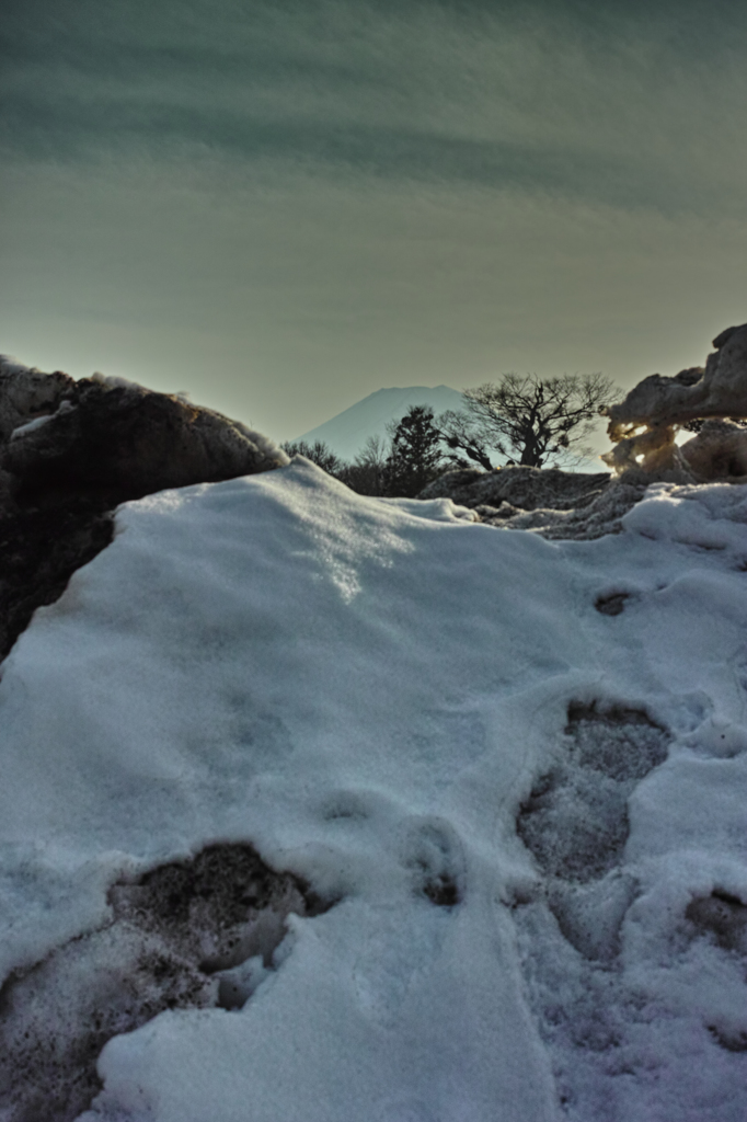 Nature「残雪」
