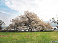 Nature「美しい日本」