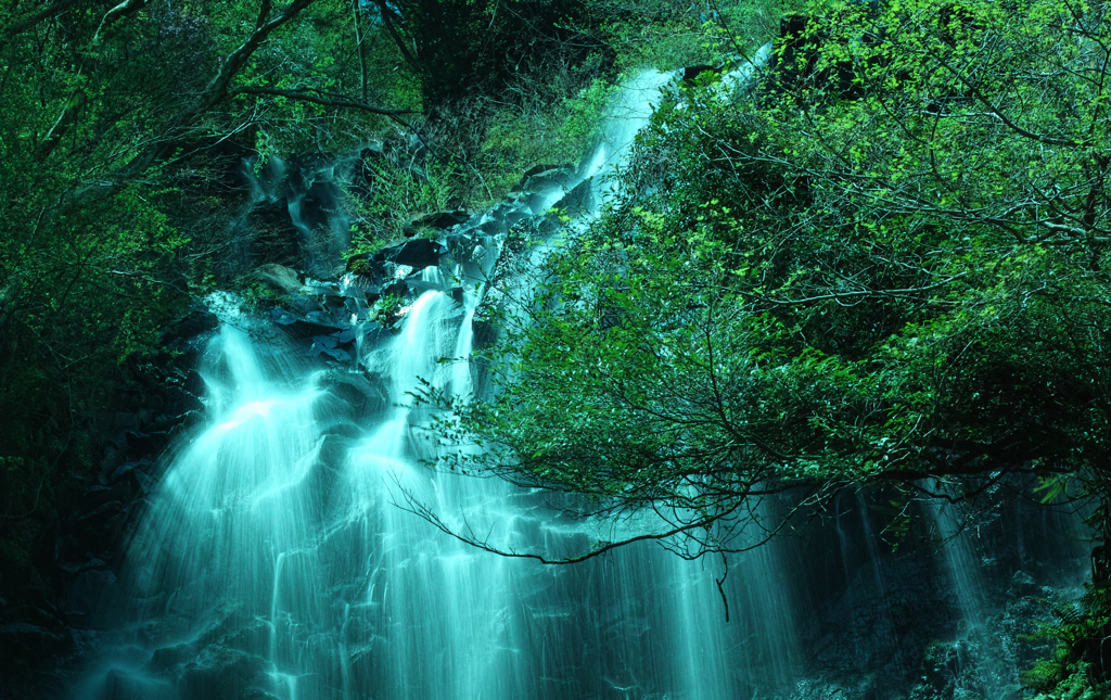 Nature「箱根旧東海道」