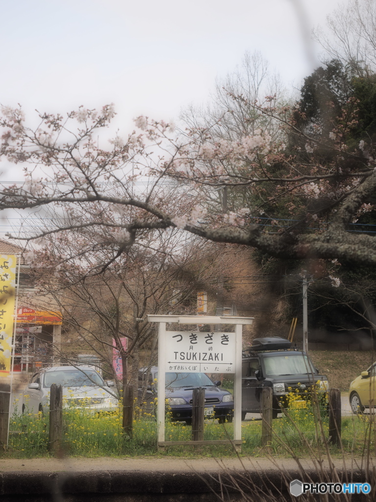 Nature「小湊鉄道」2