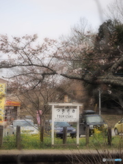 Nature「小湊鉄道」2