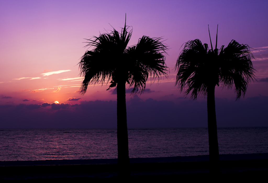 夕暮れ浜辺で