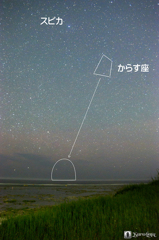 南十字座　捉えたか？