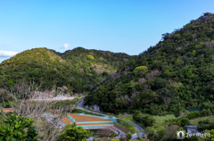 沖縄　本部町　円錐カルスト