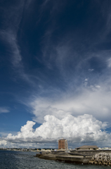雲