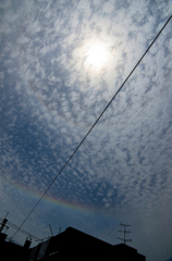 2013_0502　沖縄に現れた日暈