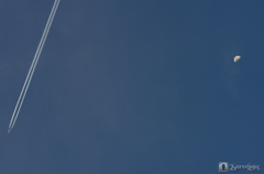 月と飛行機