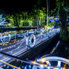 東南植物楽園　ひかりの散歩道