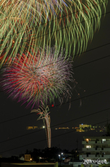 はごろも花火_1