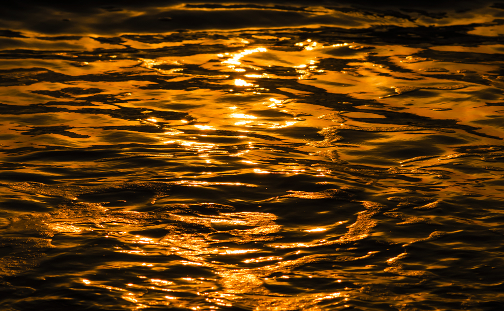 きんいろのなみ