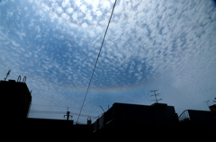 2013_0502　沖縄に現れた日暈