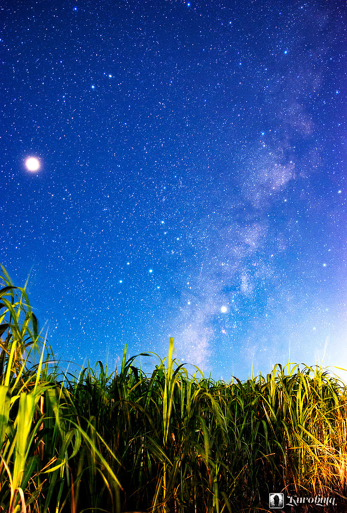 サトウキビと星空と