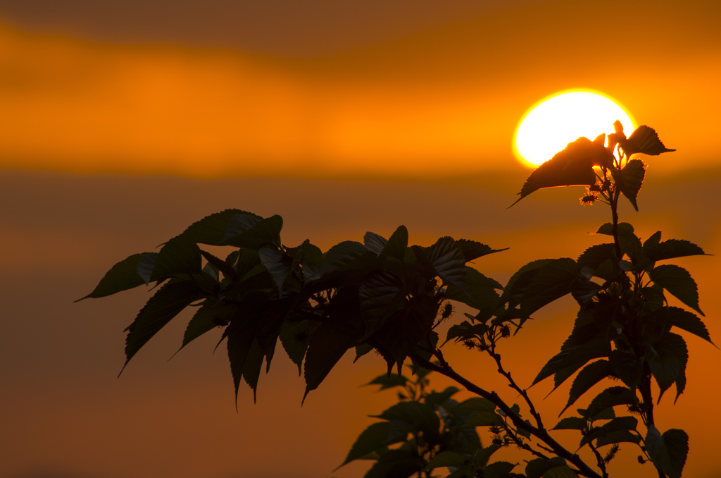 沖縄　夕日