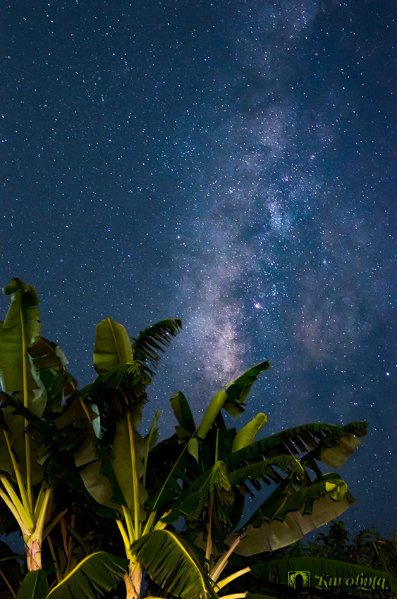 星空を探して