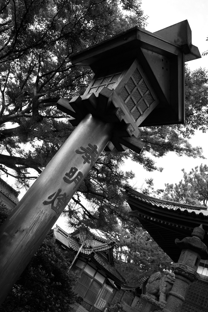 SDIM0067