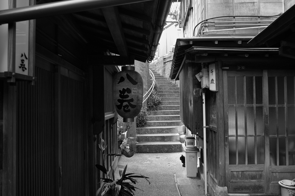 SDIM0292