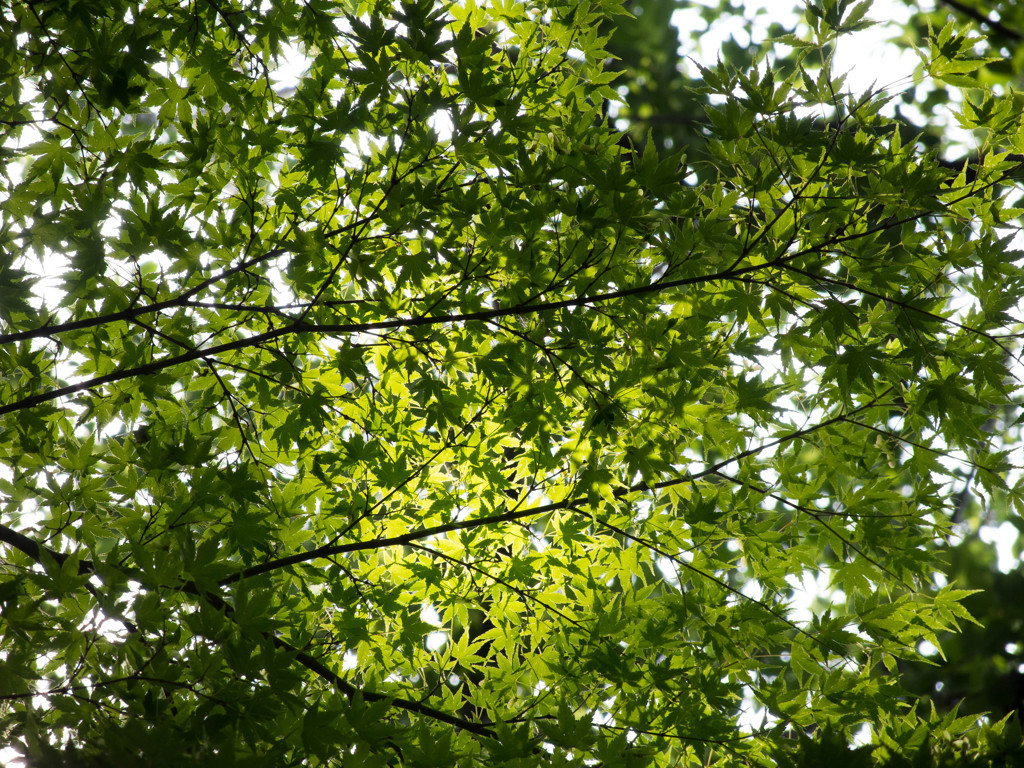 公園散策Part2-2