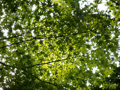 公園散策Part2-2