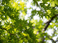 公園散策Part2-1